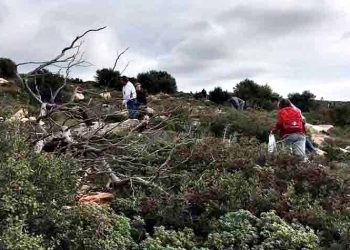 Στις 8 Δεκεμβρίου ακόμα μια Εθελοντική Αναδάσωση του ΣΠΑΠ στο Πεντελικό