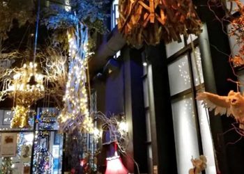 Η WATT+VOLT φωτίζει το μαγεμένο δάσος του Noel