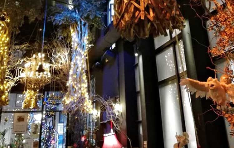 Η WATT+VOLT φωτίζει το μαγεμένο δάσος του Noel