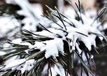 Περί ανέμων και υδάτων