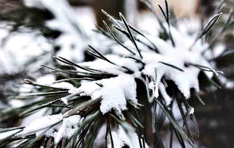 Περί ανέμων και υδάτων