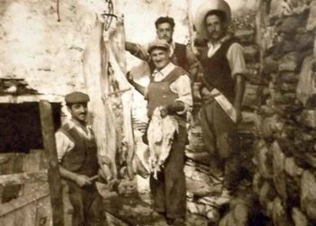 Έθιμα των γιορτών: Χοιροφαγία και ο μαύρος χοίρος της Ελλάδας