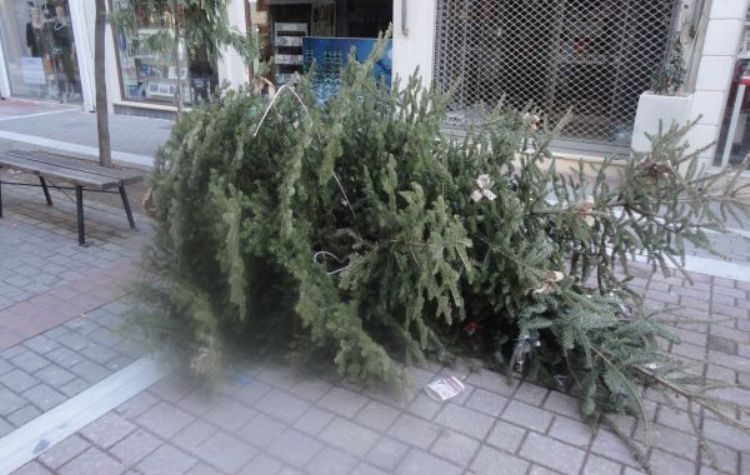 Δήμος Κηφισιάς: «Κανένα χριστουγεννιάτικο δέντρο στα οικιακά σκουπίδια»