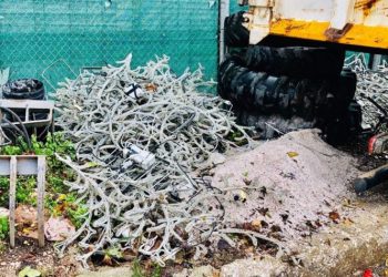 Αλ. Μουστόγιαννης: «Πεταμένος στο γκαράζ του Δήμου ο περσινός στολισμός»