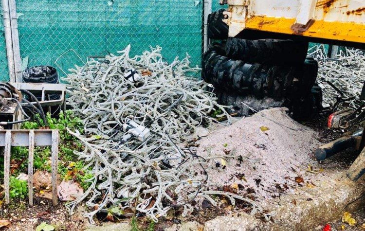 Αλ. Μουστόγιαννης: «Πεταμένος στο γκαράζ του Δήμου ο περσινός στολισμός»