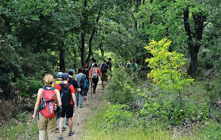 Επιχείρηση: Υμηττός για όλους
