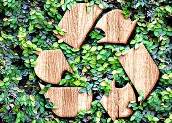 Στοίχημα του αύριο η «πράσινη κουλτούρα»