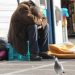Φροντίδα για τους άστεγους από την Κοινωνική Υπηρεσία
