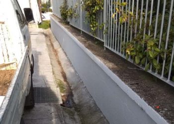 Διπλή παρέμβαση καθαρισμού και καλλωπισμού από τον Δήμο