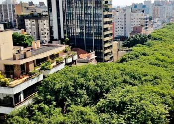 Ανάγκη μελέτης διαχείρισης πρασίνου στα Βόρεια Προάστια