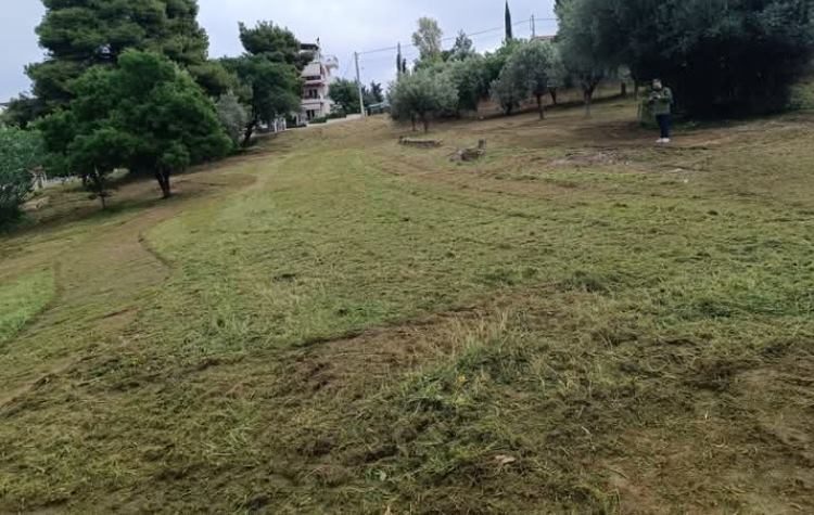 Καθαρισμοί από τον Δήμο σε χώρους ιδιοκτησίας του