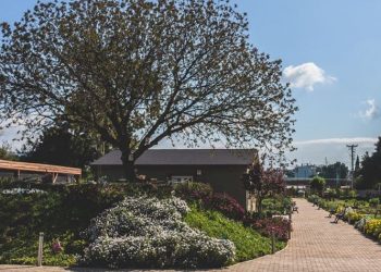 Άτομο με κορωνοϊό σε εκδήλωση στο «Κτήμα Αρίστη» - Κλείνει για 2 εβδομάδες