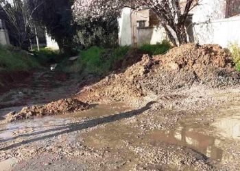 Περιφέρεια: Παρέμβαση στην Αποκεντρωμένη για λύση στο θέμα «λίμνη Πατήματος»