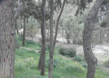 Σε κλίμα… καραντίνας και η Ρεματιά