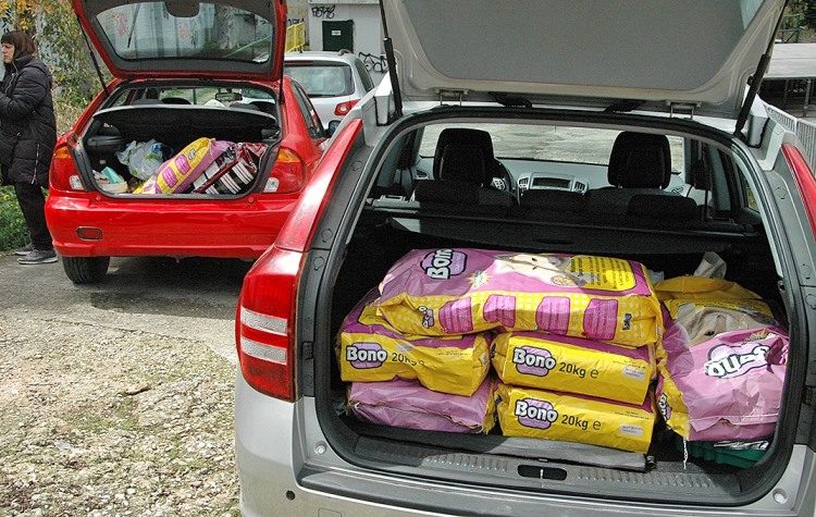 600 κιλά τροφής για τα αδέσποτα από τον Δήμο Αγίας Παρασκευής