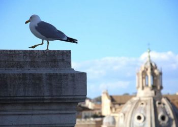 Η Fiat αναζητά εικόνες από τη νέα ισορροπία φύσης και ανθρώπου