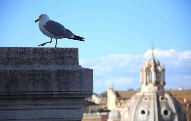 Η Fiat αναζητά εικόνες από τη νέα ισορροπία φύσης και ανθρώπου
