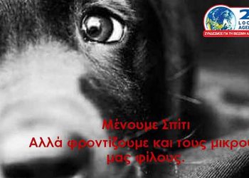 ΣΒΑΠ: «Μένουμε σπίτι, αλλά φροντίζουμε και τους μικρούς μας φίλους»