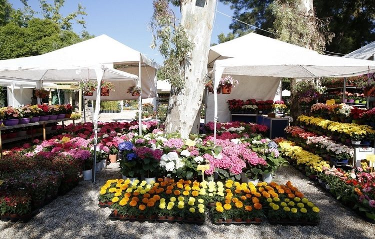 Ανθοκομική τον Ιούνιο  κορωνοϊού…επιτρέποντος