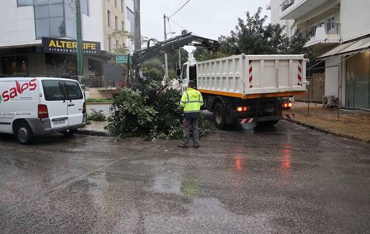 Έκκληση του Δήμου: «Μην αφήνετε στους δρόμους κομμένα κλαδιά και κηπαία»