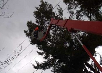 Παρέμβαση του Δήμου για πεσμένα δένδρα λόγω ανέμων
