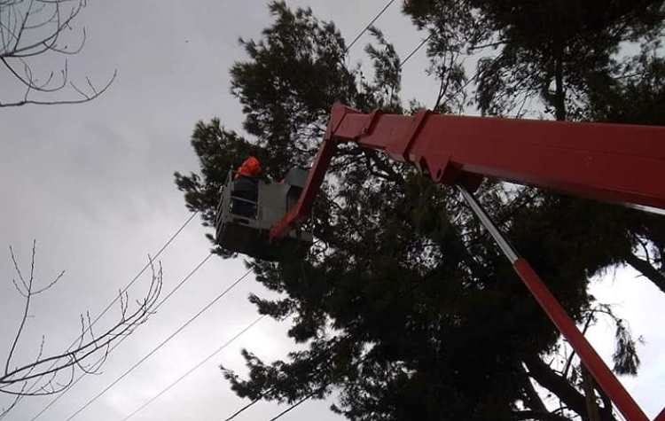 Παρέμβαση του Δήμου για πεσμένα δένδρα λόγω ανέμων