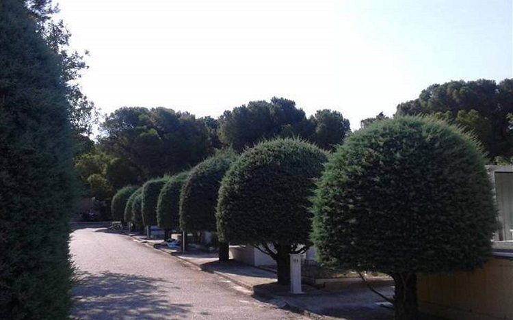 Κλειστά τα κοιμητήρια του Δήμου μέχρι το Μεγάλο Σάββατο