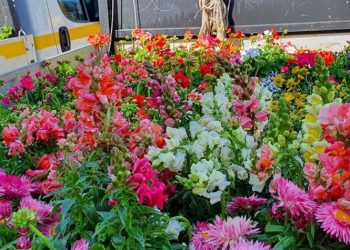 Μια «αγκαλιά» από λουλούδια για τον Δήμο