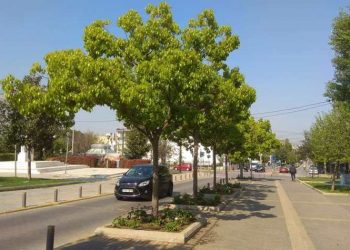 Πήραν ανοιξιάτικο χρώμα πλατείες και παρτέρια της πόλης