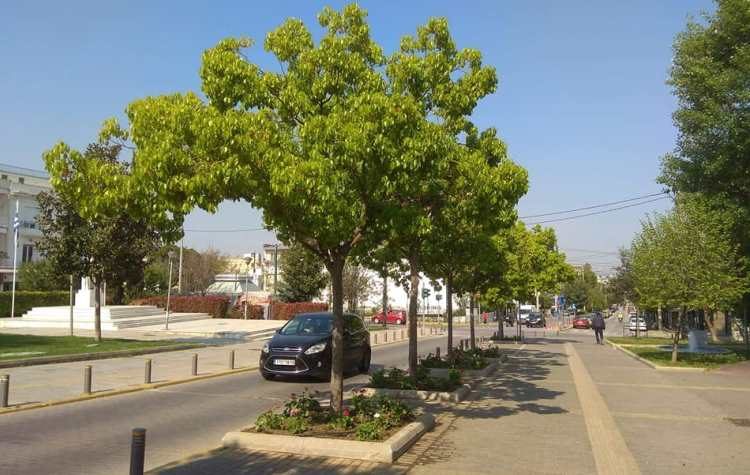 Πήραν ανοιξιάτικο χρώμα πλατείες και παρτέρια της πόλης