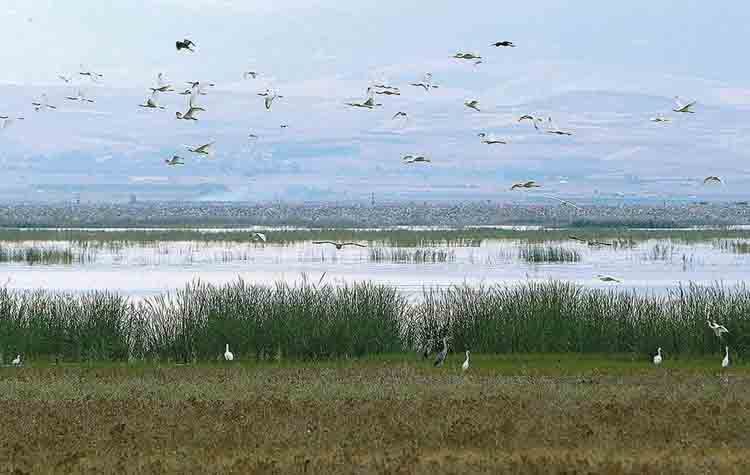 «Εκτός Των Τειχών»: «Όχι στο αντιπεριβαλλοντικό νομοσχέδιο της κυβέρνησης Ν.Δ.»