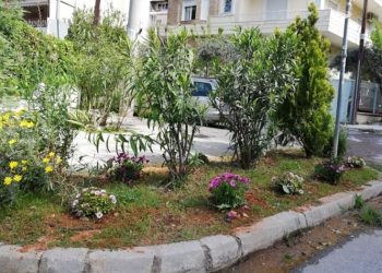 Τάσος Μαυρίδης: «Αξιοποιούμε τον χρόνο για να ομορφύνουμε την πόλη μας»