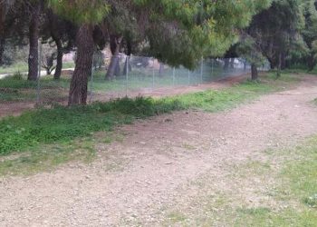 Στη Βουλή από το ΚΚΕ οι εργασίες εργολάβων στο Άλσος Νέας Φιλαδέλφειας