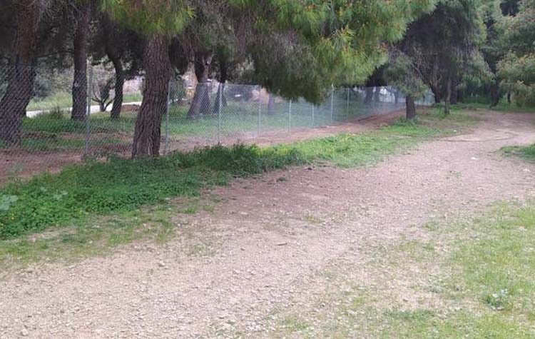 Στη Βουλή από το ΚΚΕ οι εργασίες εργολάβων στο Άλσος Νέας Φιλαδέλφειας