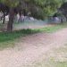 Στη Βουλή από το ΚΚΕ οι εργασίες εργολάβων στο Άλσος Νέας Φιλαδέλφειας