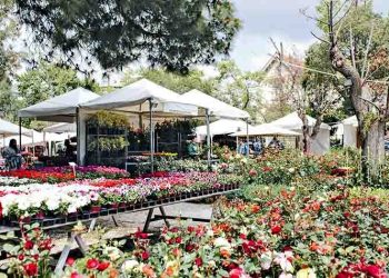66η Ανθοκομική Έκθεση Κηφισιάς: «Νίκησε» τον κορωνοϊό και «ανθίζει» ξανά