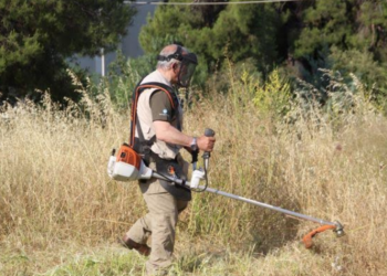 Κάλεσμα του Δήμου για «διαφύλαξη» του πρασίνου που απέμεινε