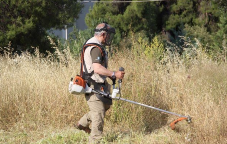 Κάλεσμα του Δήμου για «διαφύλαξη» του πρασίνου που απέμεινε
