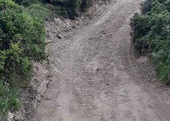 Εργασίες συντήρησης  δασικών δρόμων στο Πεντελικό ξεκίνησε ο ΣΠΑΠ