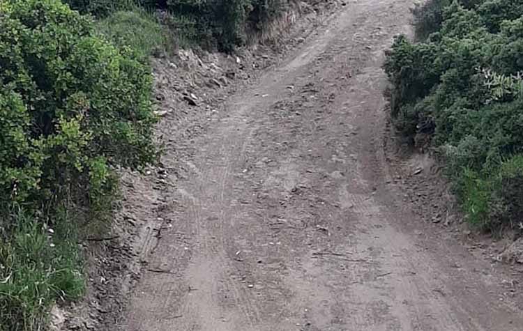 Εργασίες συντήρησης  δασικών δρόμων στο Πεντελικό ξεκίνησε ο ΣΠΑΠ