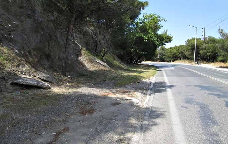 Ο Δήμος γιορτάζει και φέτος την Εβδομάδα Περιβάλλοντος