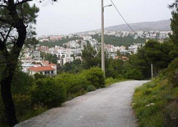 Δράση καθαρισμού του δάσους του Αγίου Θεοκλήτου από την ΟΝΝΕΔ Βριλησσίων