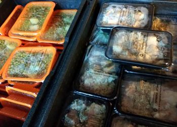 Καθημερινά και τα Σαββατοκύριακα η διανομή γευμάτων κατ΄ οίκον