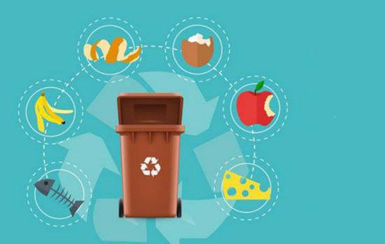 «Όχι τα κλαδέματα στους καφέ κάδους» ζητά από τους δημότες η δημοτική Αρχή