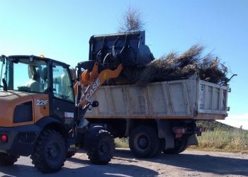 Καθαρισμοί και αποψιλώσεις από τη Πολιτική Προστασία του Δήμου