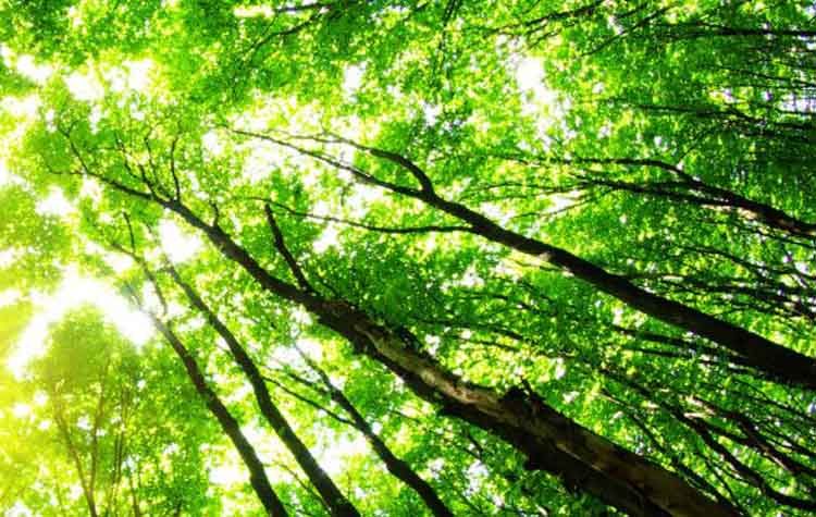 «Κόκκινη Ρωγμή»: «Να αποσυρθεί το περιβαλλοκτόνο πολυνομοσχέδιο Χατζηδάκη»