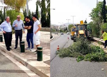 Καθαρισμός και συντήρηση πρασίνου στον χώρο του ΟΑΚΑ