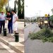 Καθαρισμός και συντήρηση πρασίνου στον χώρο του ΟΑΚΑ