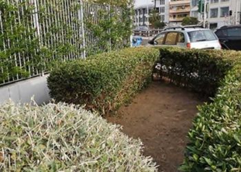 «Καμπανάκι» του Δήμου για καθαρισμό ιδιωτικών οικοπέδων