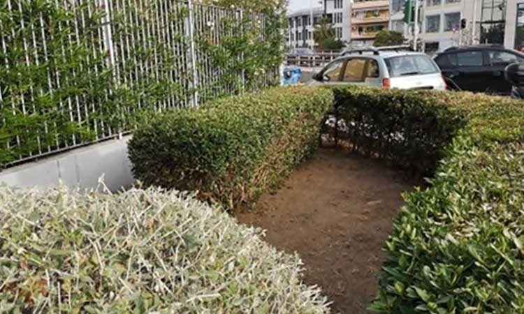 «Καμπανάκι» του Δήμου για καθαρισμό ιδιωτικών οικοπέδων